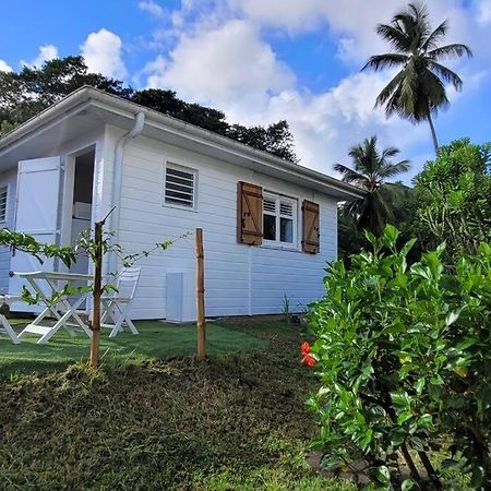 Ti-Hibiscus Bungalow T1 Clim-Wifi 30M2 2 Pers Grande Savane エクステリア 写真