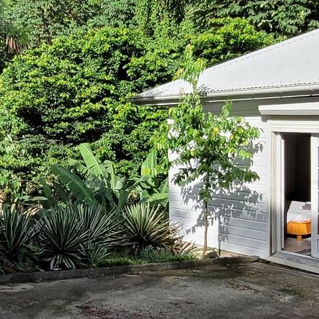 Ti-Hibiscus Bungalow T1 Clim-Wifi 30M2 2 Pers Grande Savane エクステリア 写真