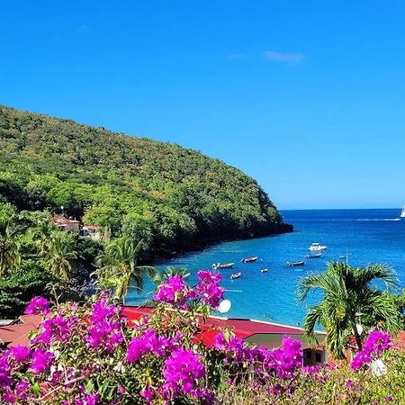 Ti-Hibiscus Bungalow T1 Clim-Wifi 30M2 2 Pers Grande Savane エクステリア 写真