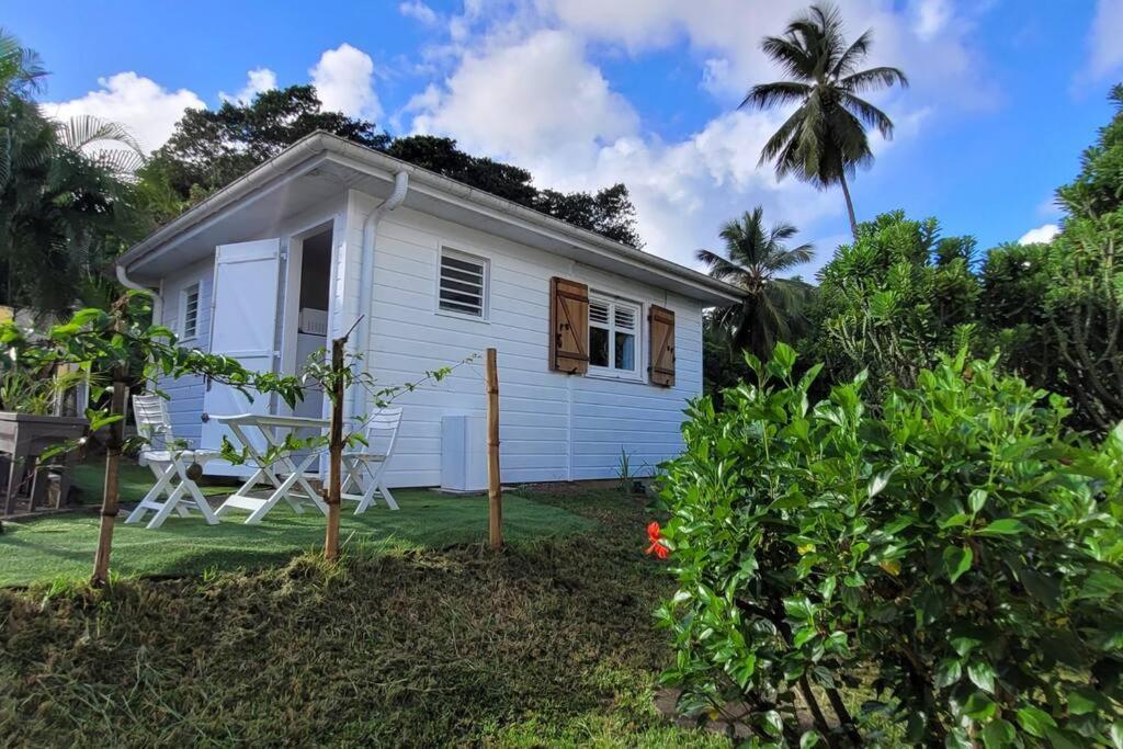 Ti-Hibiscus Bungalow T1 Clim-Wifi 30M2 2 Pers Grande Savane エクステリア 写真