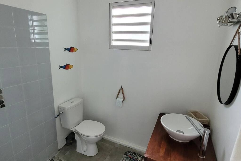 Ti-Hibiscus Bungalow T1 Clim-Wifi 30M2 2 Pers Grande Savane エクステリア 写真