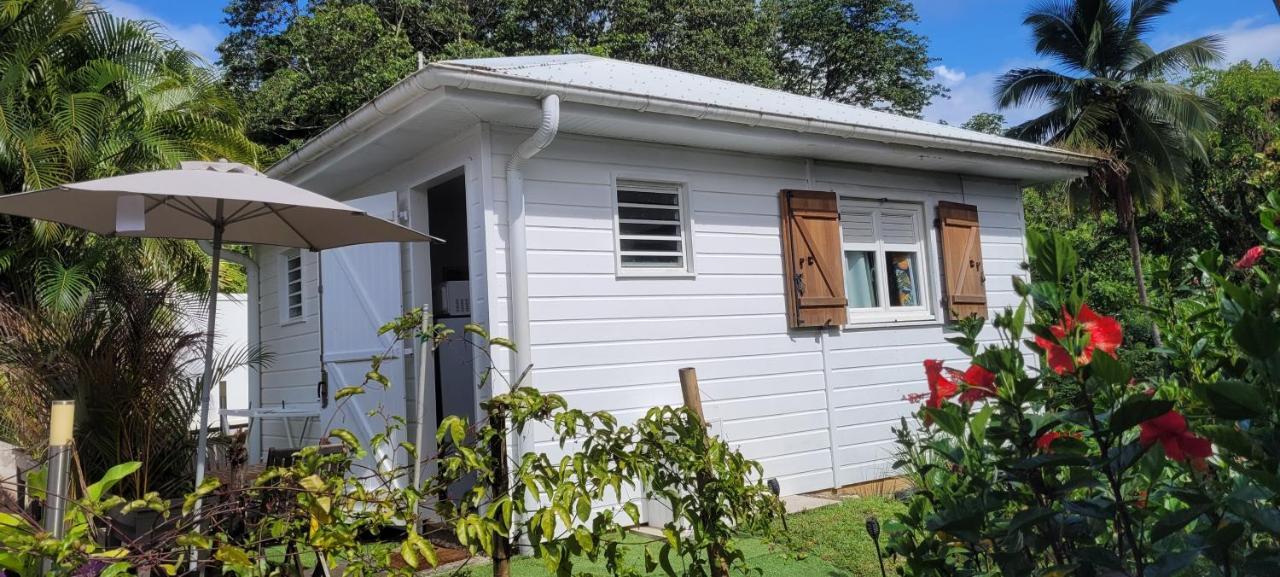 Ti-Hibiscus Bungalow T1 Clim-Wifi 30M2 2 Pers Grande Savane エクステリア 写真